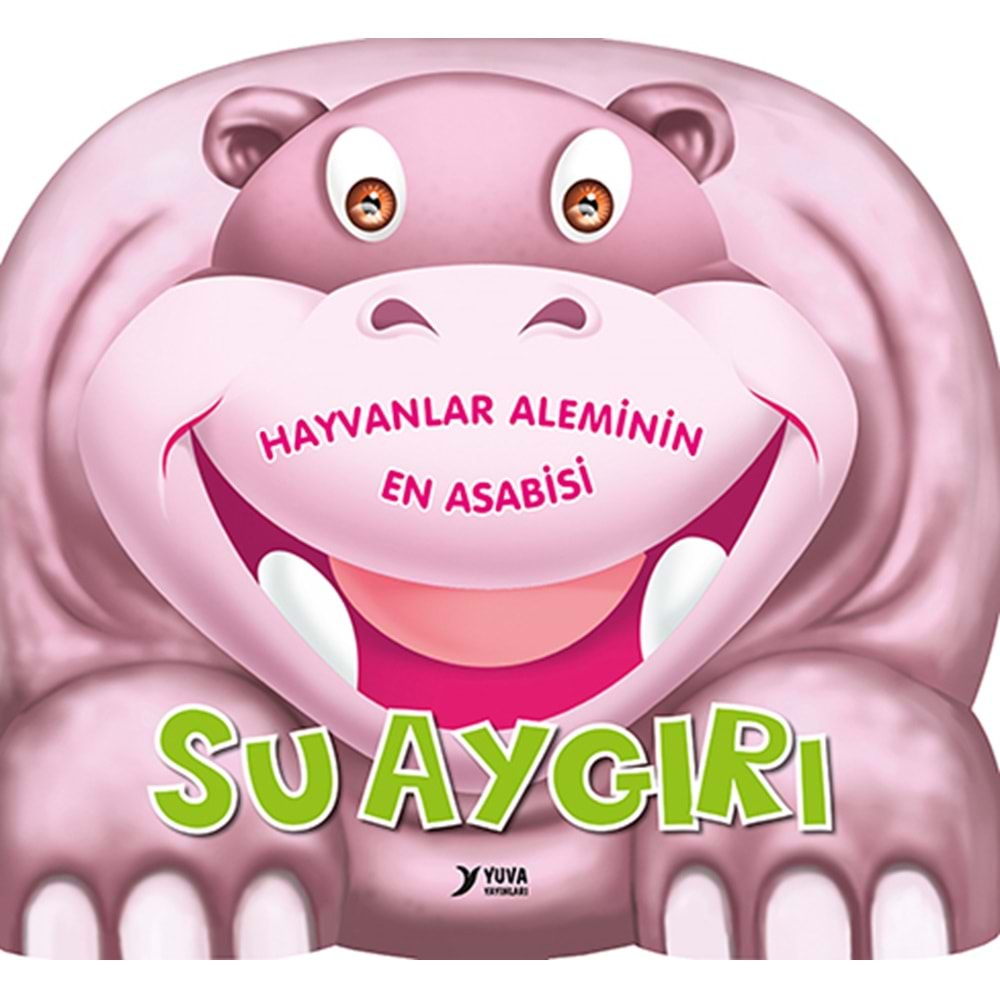 SU AYGIRI