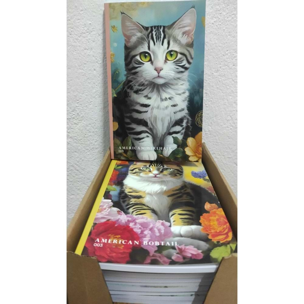 PİSA KEDİLİ DEFTER ÇİZGİLİ TEL DİKİŞLİ