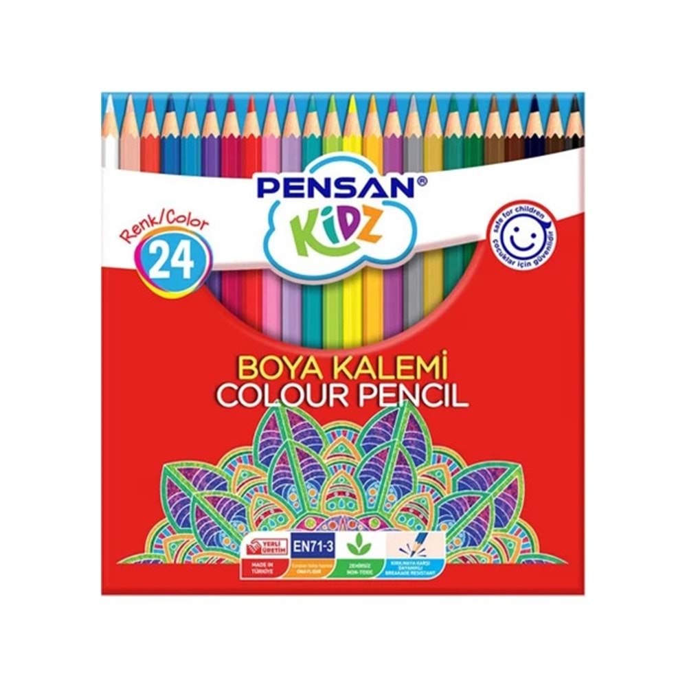 PENSAN KURU BOYA 24 RENK KARTON KUTU