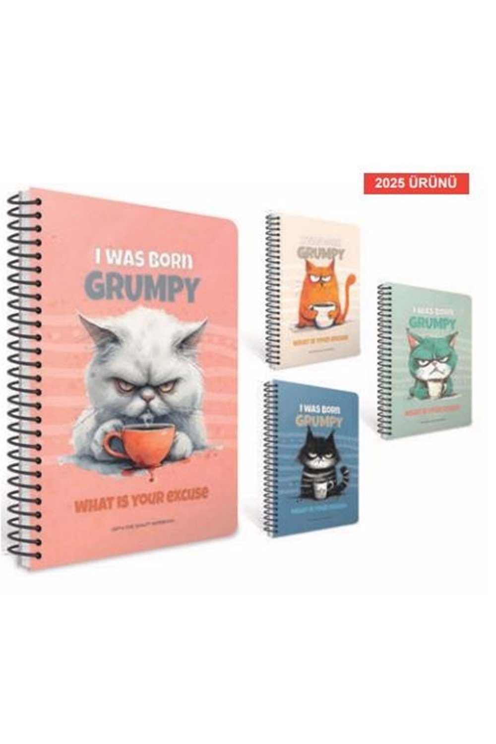 GIPTA 100 YP.DEFTER 17*24 KARELİ SPİR.SERT KPK.GRUMPY