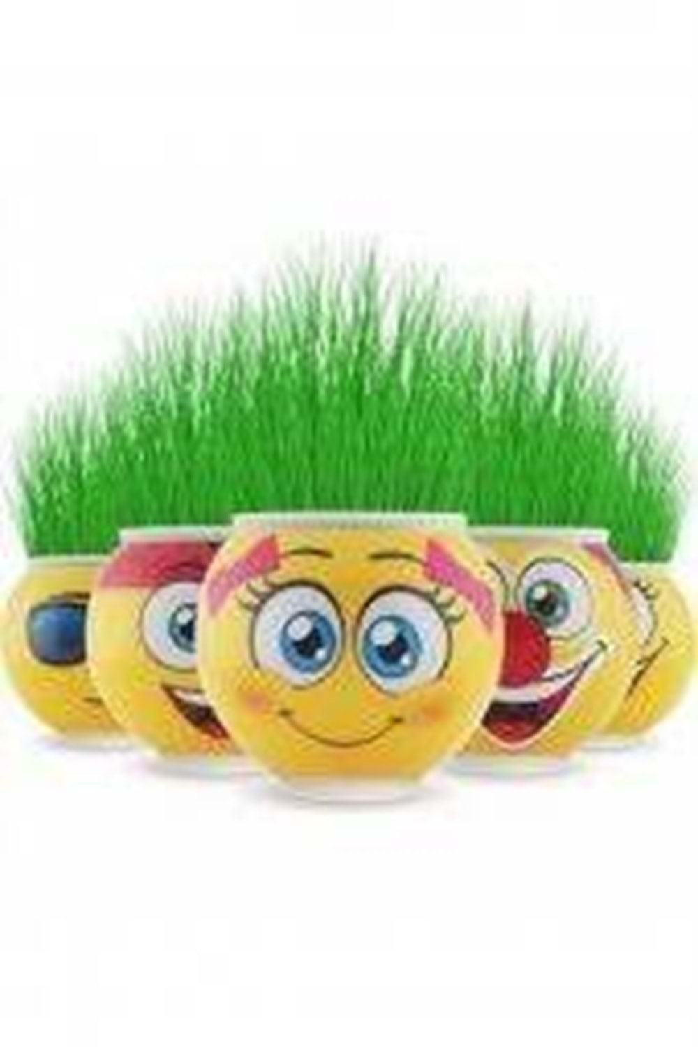 İBİS ÇİM ADAM EMOJİ 12 Lİ PK.