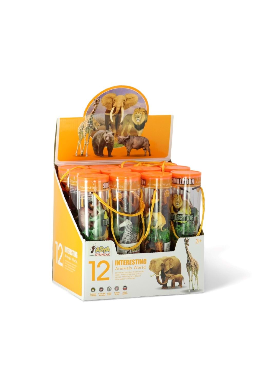 ASYA SİLİNDİR KUTU VAHŞİ HAYVANLAR KOD:976