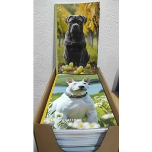 PİSA KÖPEKLİ DEFTER KARELİ TEL DİKİŞLİ