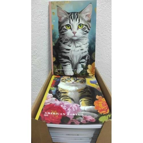 PİSA KEDİLİ DEFTER ÇİZGİLİ TEL DİKİŞLİ