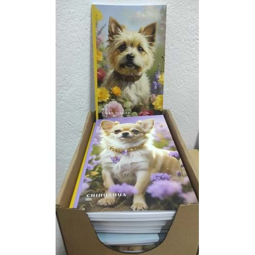 PİSA KÖPEKLİ DEFTER ÇİZGİLİ TEL DİKİŞLİ