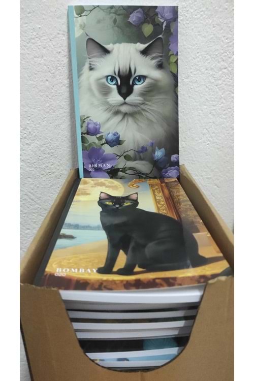 PİSA KEDİLİ DEFTER KARELİ TEL DİKİŞLİ