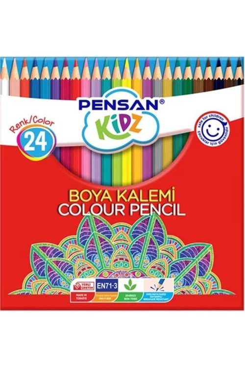 PENSAN KURU BOYA 24 RENK KARTON KUTU
