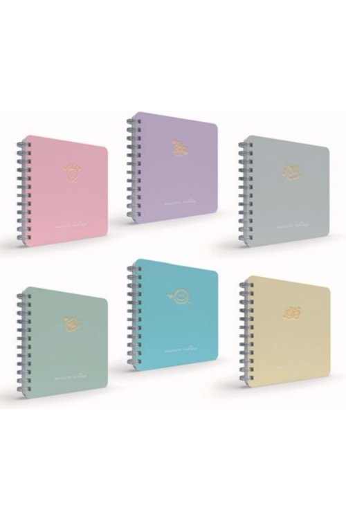 GIPTA 100 YP.DEFTER 17*24 KARELİ SPİR.SERT KPK.MİCRO NOTES