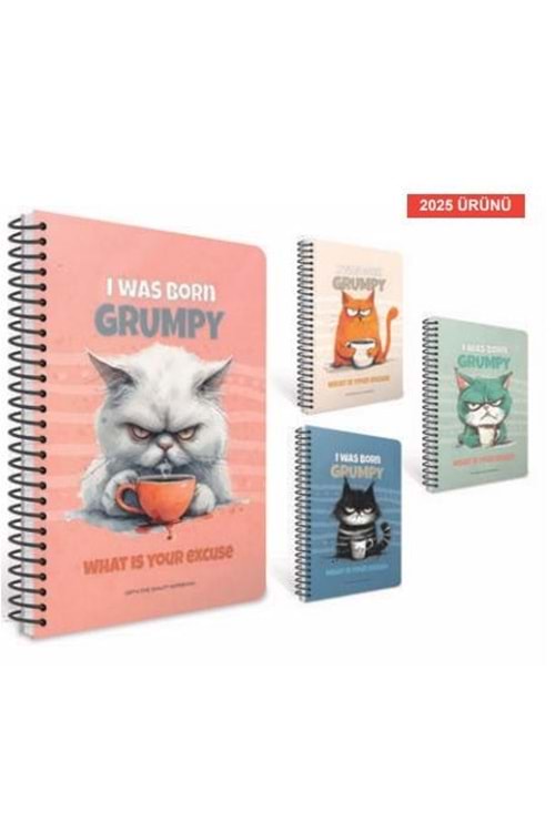 GIPTA 100 YP.DEFTER 17*24 KARELİ SPİR.SERT KPK.GRUMPY
