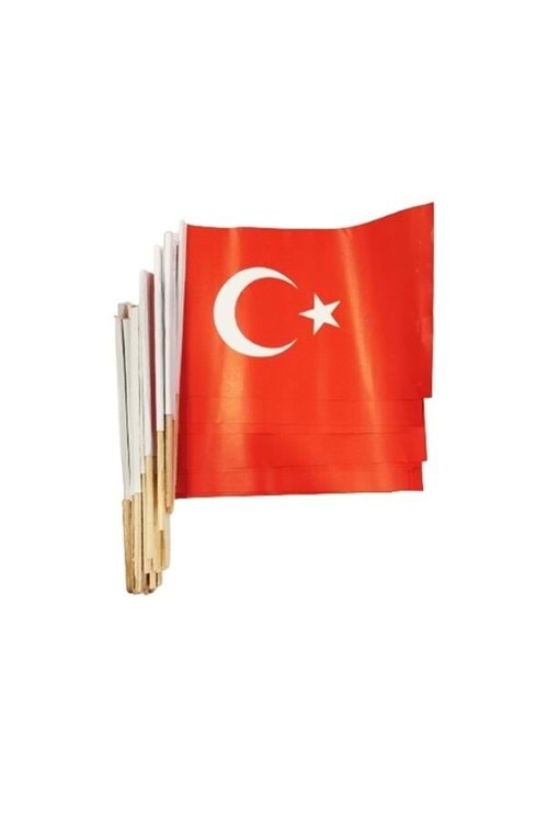 SİNO BAYRAK SOPALI KUŞE BÜYÜK (50Lİ)